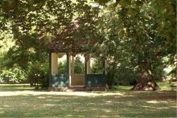 v zámeckém parku (© Nikola Mildová, 09/2008)