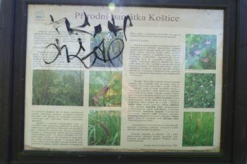  (© František Kinař, 09/2013)