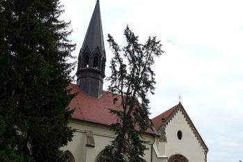  (© Jiří Cukr, 05/2009)