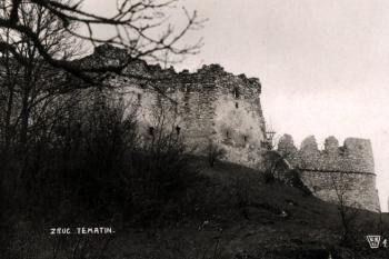 zřícenina hradu od severozápadu na historické pohlednici (© sbírka J. Úlovec)