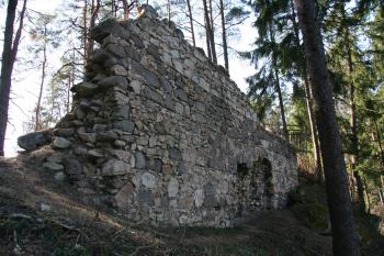 Největší zeď hradu ( © Petr Nožička 03/2011)