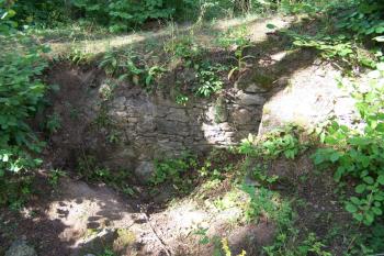  (© Michal Brůža, 8/2008)