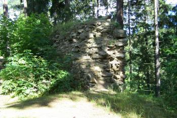  (© Michal Brůža, 8/2008)