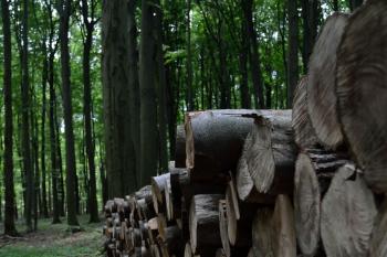 Dobrá Voda (© Radoslav Malovec, 10/2013)