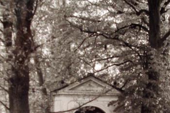  (© Sláva Rejthar 2013)