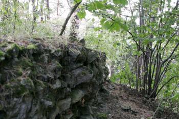 Zbytek obvodové zdi ( © Iva Spurná 28.9.2009)