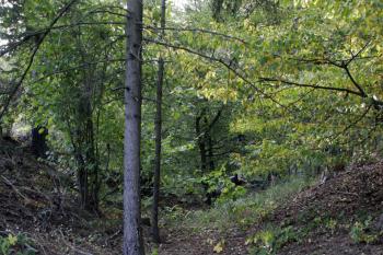 Šíjový příkop ( © Iva Spurná 28.9.2009)