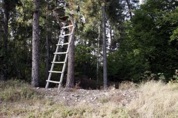 Pohled o jihu přes šíjový příkop směrem k jádru ( © Iva Spurná 28.9.2009)