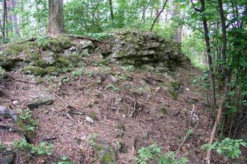 Zbytky východního ohrazení ( © Roman Řezáč 05/2003)