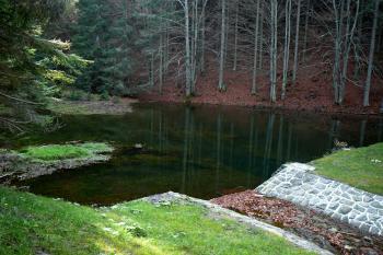 Panská od hráze (© Martin Kovář, 10/2013)