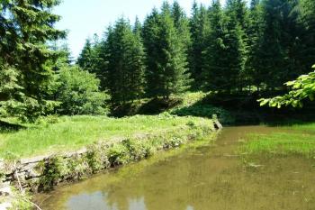 pohled na hráz klausu před rekonstrukcí ( © Jan P. Štěpánek 06/2012)