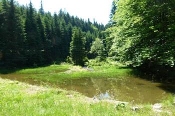 celkový pohled na vodní plochu klausu ( © Jan P. Štěpánek 06/2012)