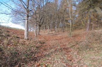 Přístupová cesta (© Prudký Martin, 10/2013)