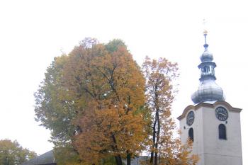 Kostel sv. Matouše v Postřelmově (© Pavel Vítek 10/2013)