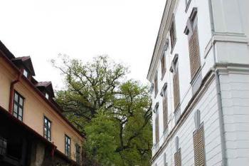Průhled od vnějšího nádvoří k severu (© Ivan Grisa, 05/2008)