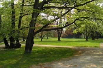 zámecký park (© Daniela Endrštová, 10/2006)