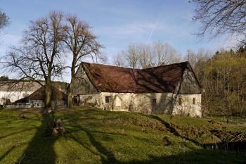 Jaro na Dašově (© Marta Mastná, 04/2012)