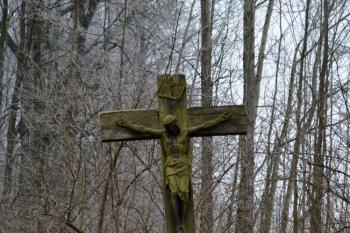  (© Tomáš Šimůnek , 01/2014)