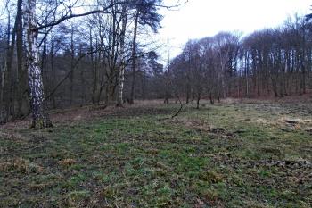 Okolí hájovny (© Prudký Martin, 01/2014)