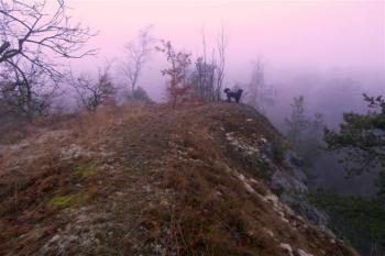  (© Prudký Martin, 01/2014)