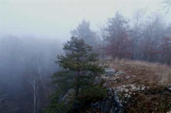  (© Prudký Martin, 01/2014)