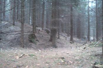 Pohled do příkopu (© Daniel Pipien, 01/2014)