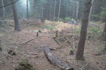 Vrchol Hrádku 543 m. vzdáleny cca 200 m od šanci (© Daniel Pipien, 01/2014)