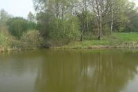 Božetín, Fasattengrün