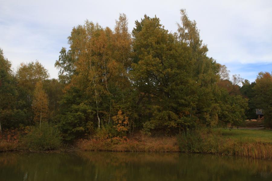 Božetín, Fasattengrün