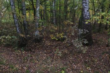  ( © Martin  Kabeláč 10/2012)