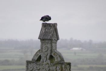 hradní hřbitov 2 (© Radek Lalák, 04/2009)