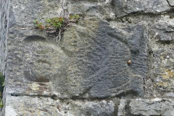  ( © Pavel Semple 05/2019)