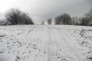 Polní cesta procházející napříč lokalitou (© Mikeš Pancíř, 02/2014)