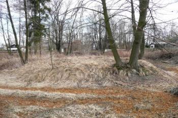 celkový pohled na jádro tvrziště ( © Jan P. Štěpánek 02/2014)
