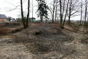 celkový pohled na jádro tvrziště ( © Jan P. Štěpánek 02/2014)