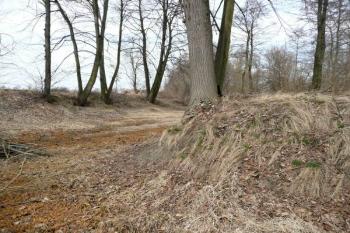 rozhraní pahorku tvrziště a příkopu ( © Jan P. Štěpánek 02/2014)