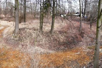 panoramatický pohled na tvrziště ( © Jan P. Štěpánek 02/2014)