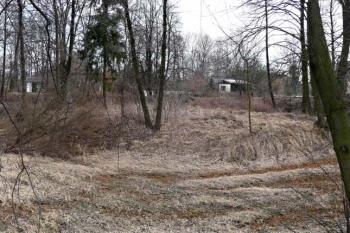 panoramatický pohled na tvrziště ( © Jan P. Štěpánek 02/2014)