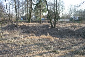 tvz od jz. (© D Dohňanský, 03/2015)