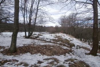 Hráz rybníka. (© Prudký Martin, 02/2014)
