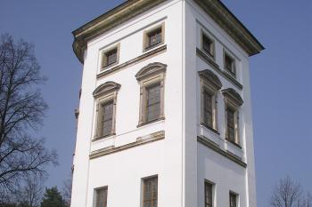 torzo zámku Nový Zámek u Rudoltic (© Vlastislav Mareček, 03/2014)