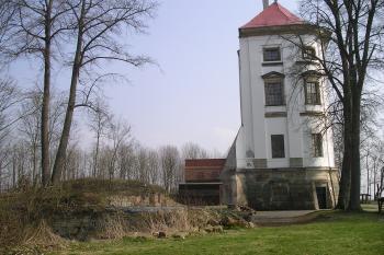 torzo zámku Nový Zámek u Rudoltic (© Vlastislav Mareček, 03/2014)