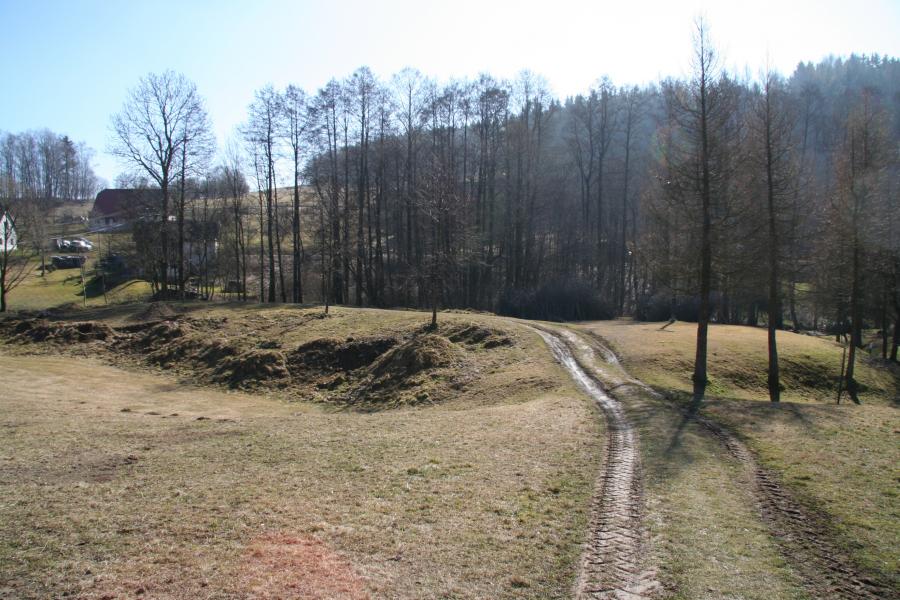 Roprachtice
