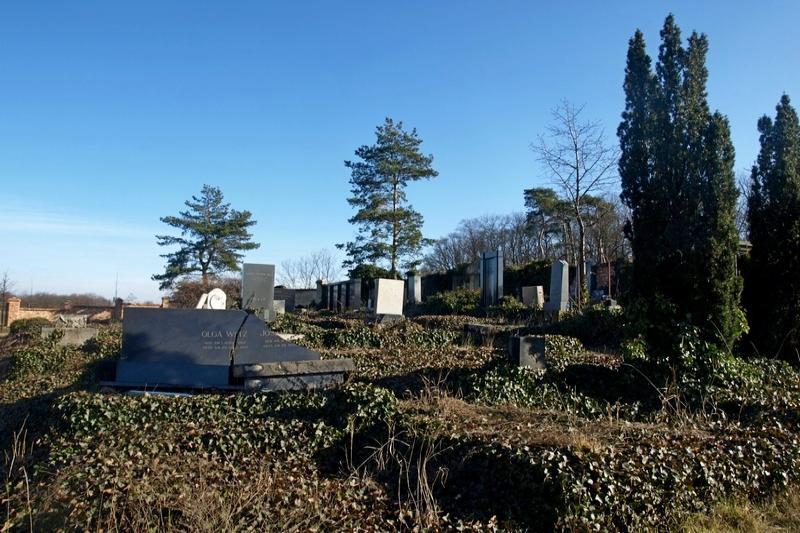 židovský hřbitov