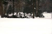 Zoopark