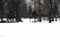 Zoopark