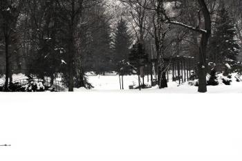 pozůstatek můstku a ptačí voliéry ( © Jan P. Štěpánek 2012)