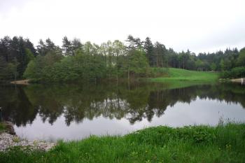 Novomlýnský rybník (© Josef Šamalík, 05/2013)