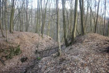 první příkop ( © Luděk Vláčil 01/2016)