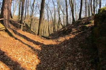 První hradní příkop / od předpolí/ (© Dušan Dohňanský 03/2020)